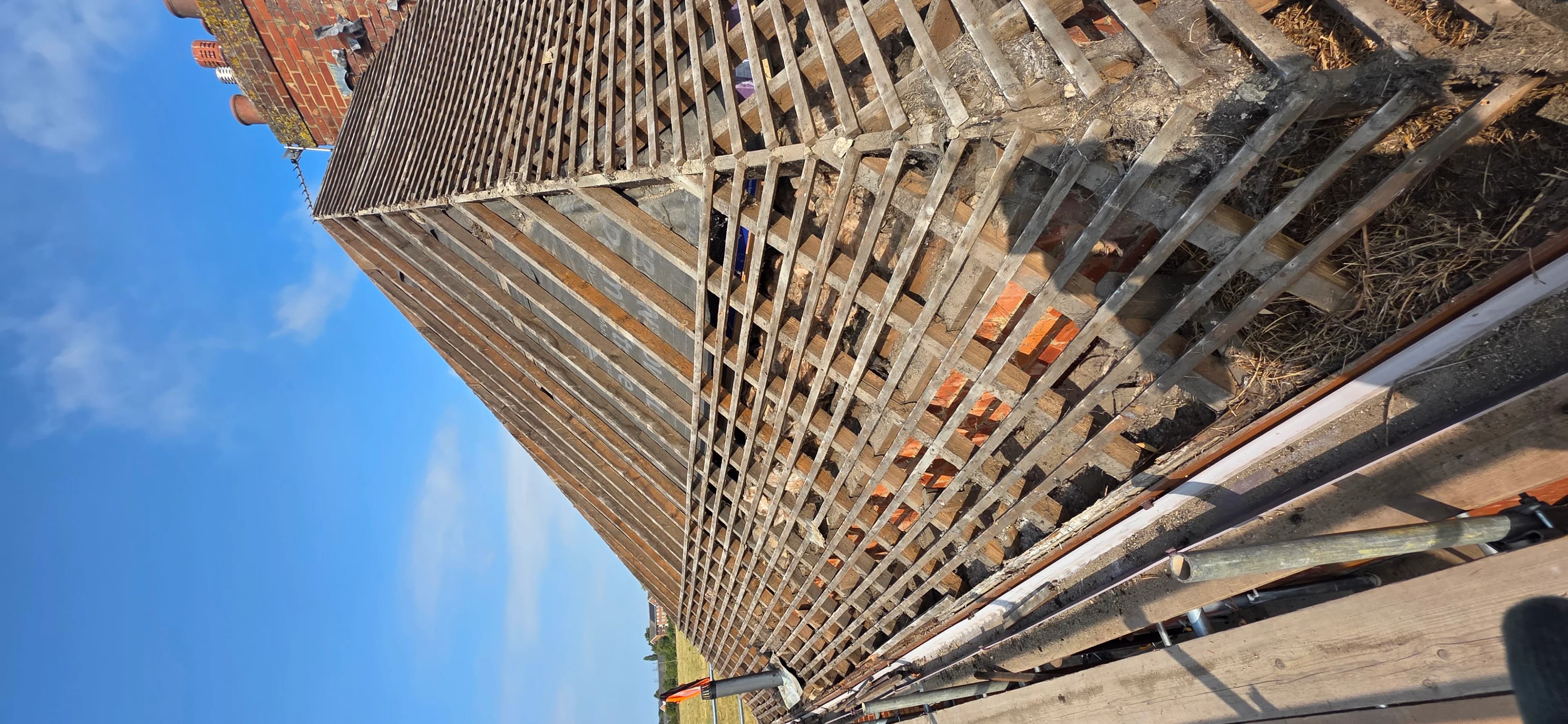 Scaffolding framework rising alongside a building